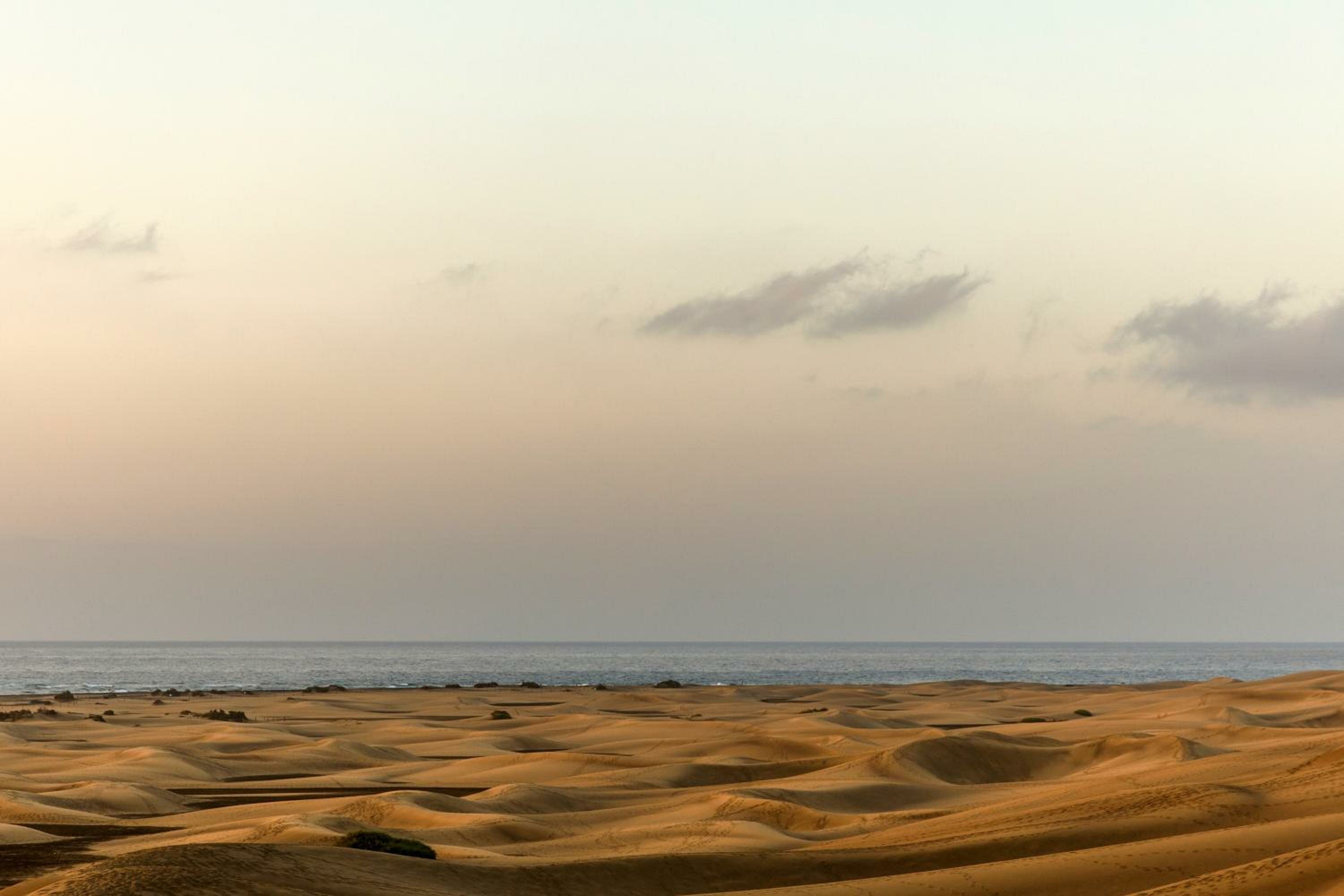 Фото Santa Monica Suites Hotel