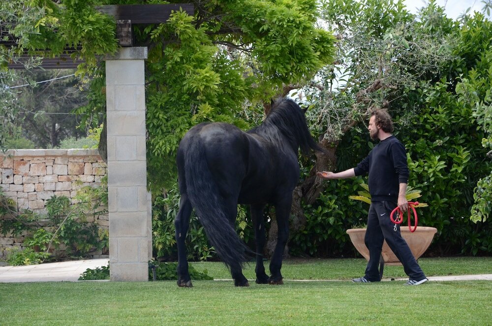 Фото Hotel Silva