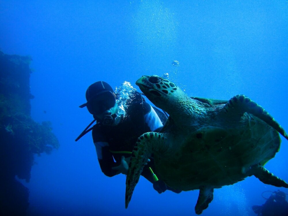 Фото Arya Amed Beach Resort and Dive Center