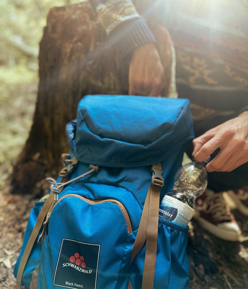 Фото Schwarzwaldhotel Gengenbach