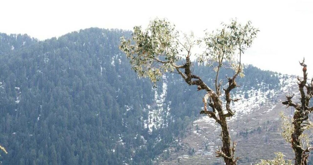 Фото Grace Mount