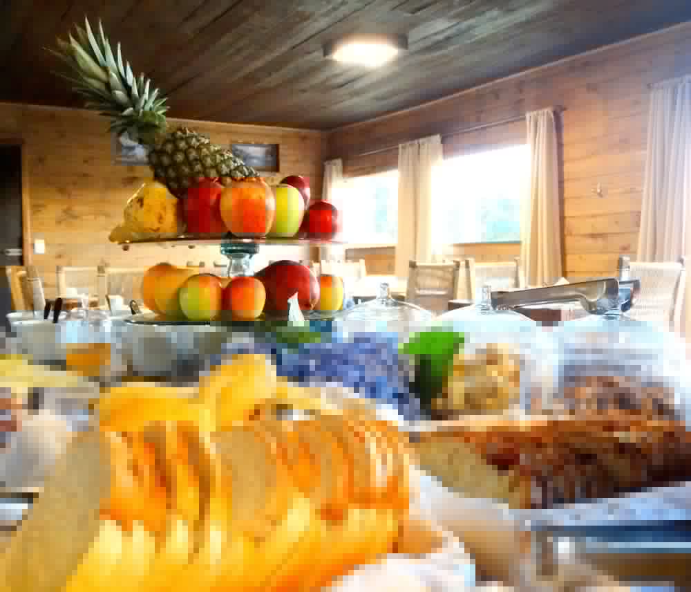 Фото Pousada Sky Chales da Montanha