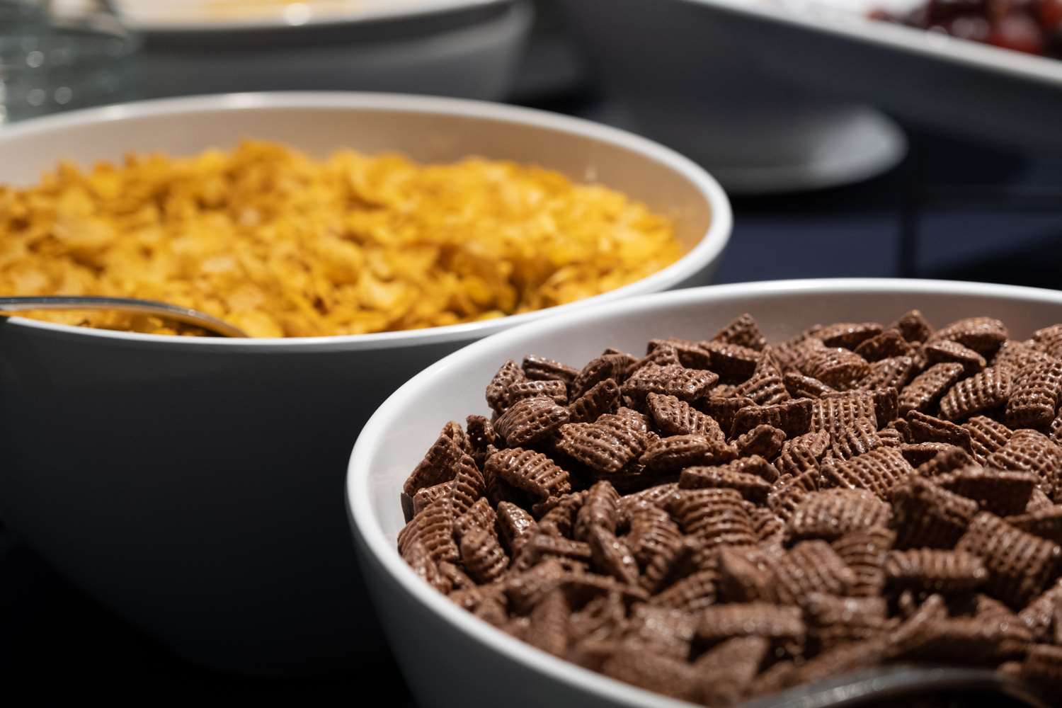 Фото Whistle Lark