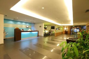 Гостиница The LimeTree Hotel