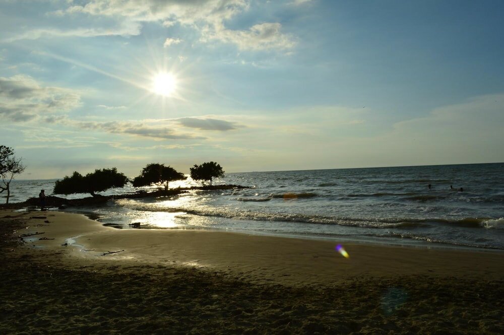 Фото Hotel Montecarlo