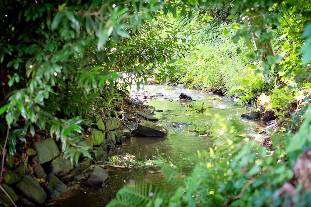 Фото Romantik Waldhotel Mangold