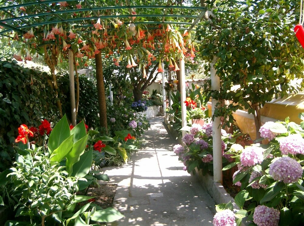 Фото Hotel Matarese