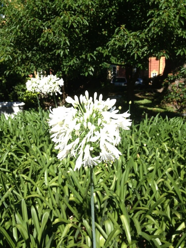 Фото Grand Hotel Villa Balbi