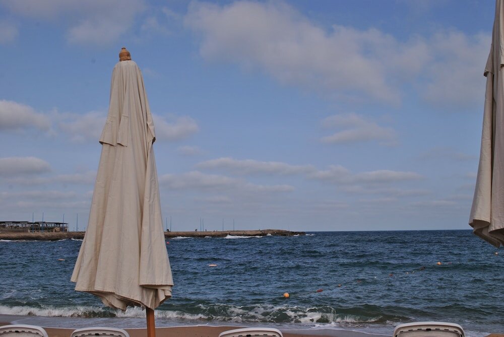 Фото Tolip Alexandria