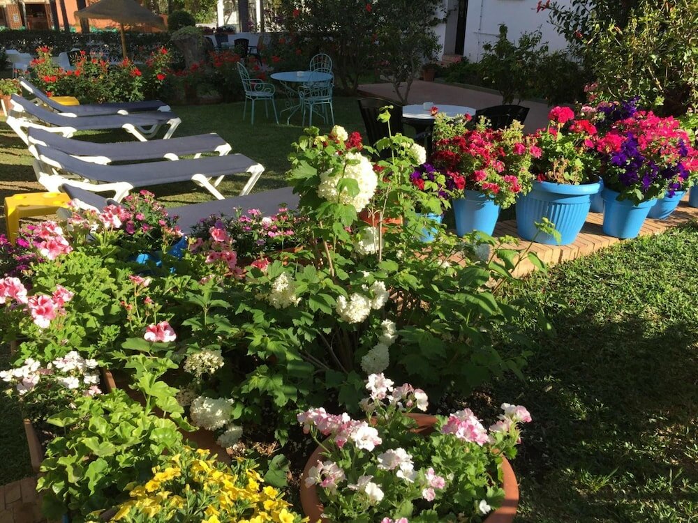 Фото Hotel Carmen Teresa