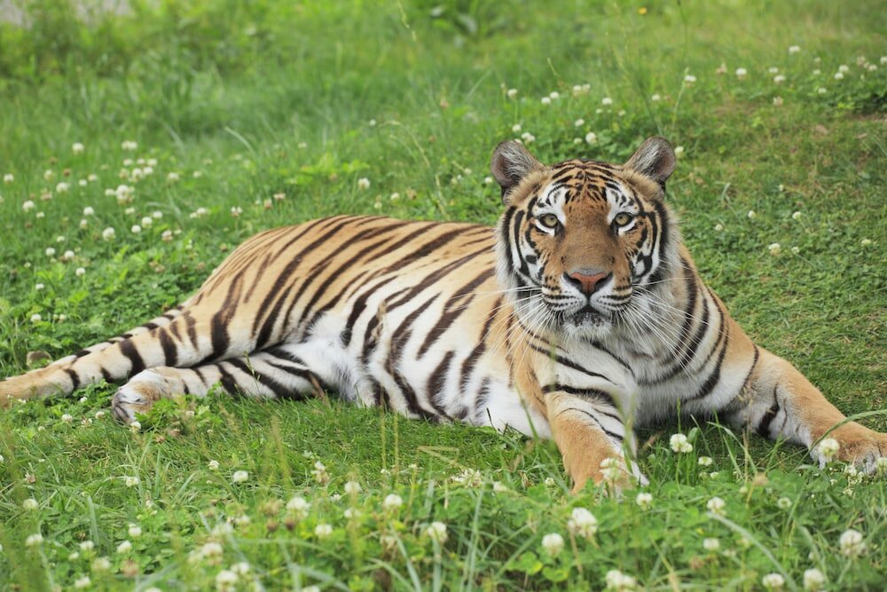 Фото Hotel Monterey Himeji