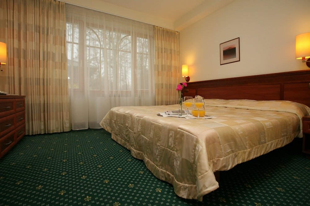 Фото Виолета