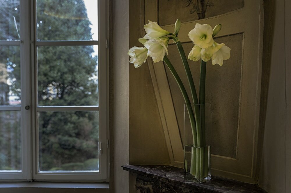 Фото Palazzo Guicciardini