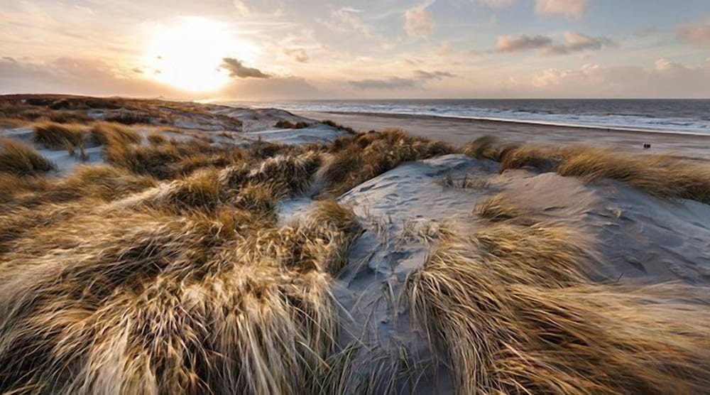 Фото Carlton Beach