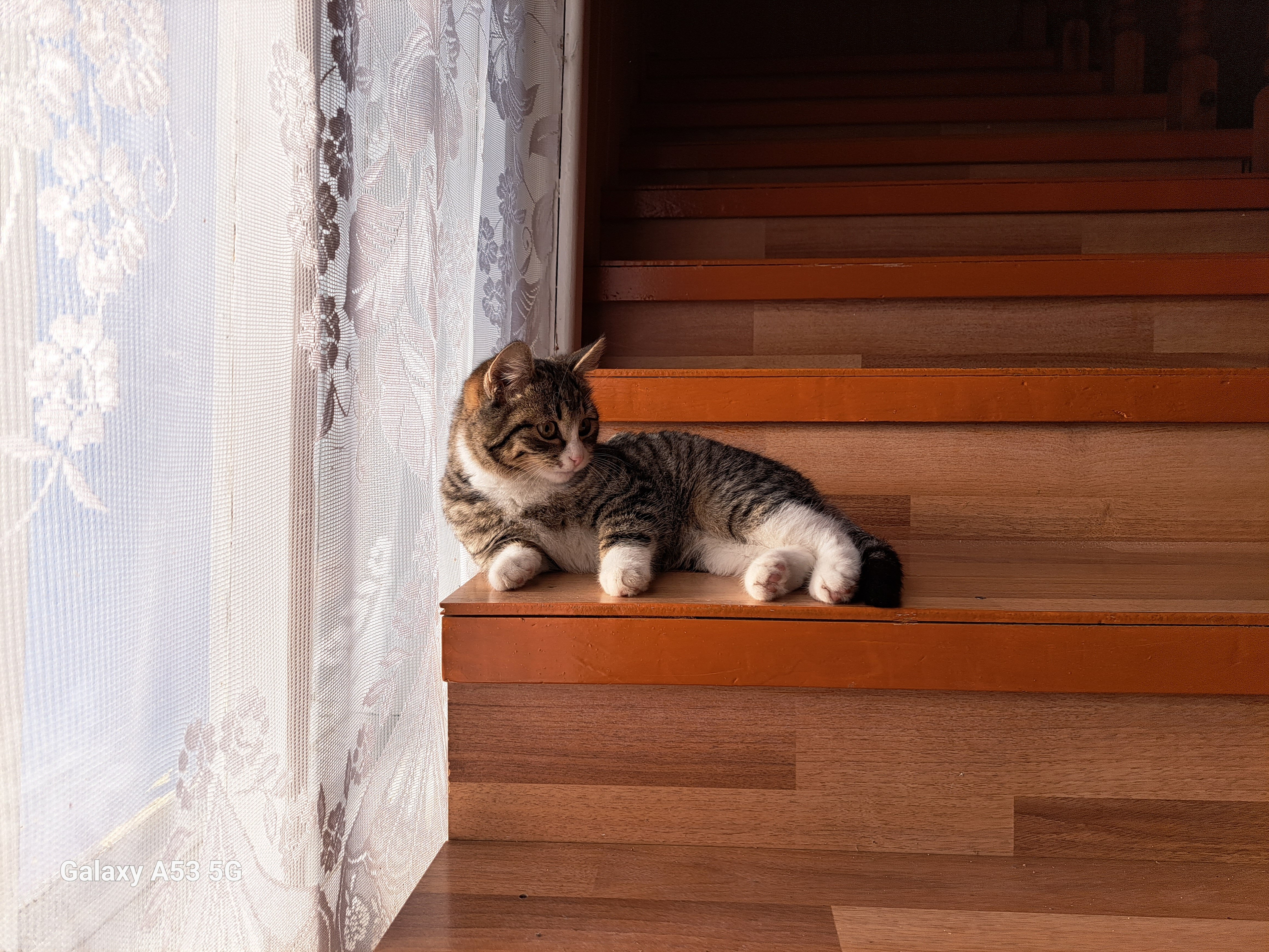 Фото Северный Байкал