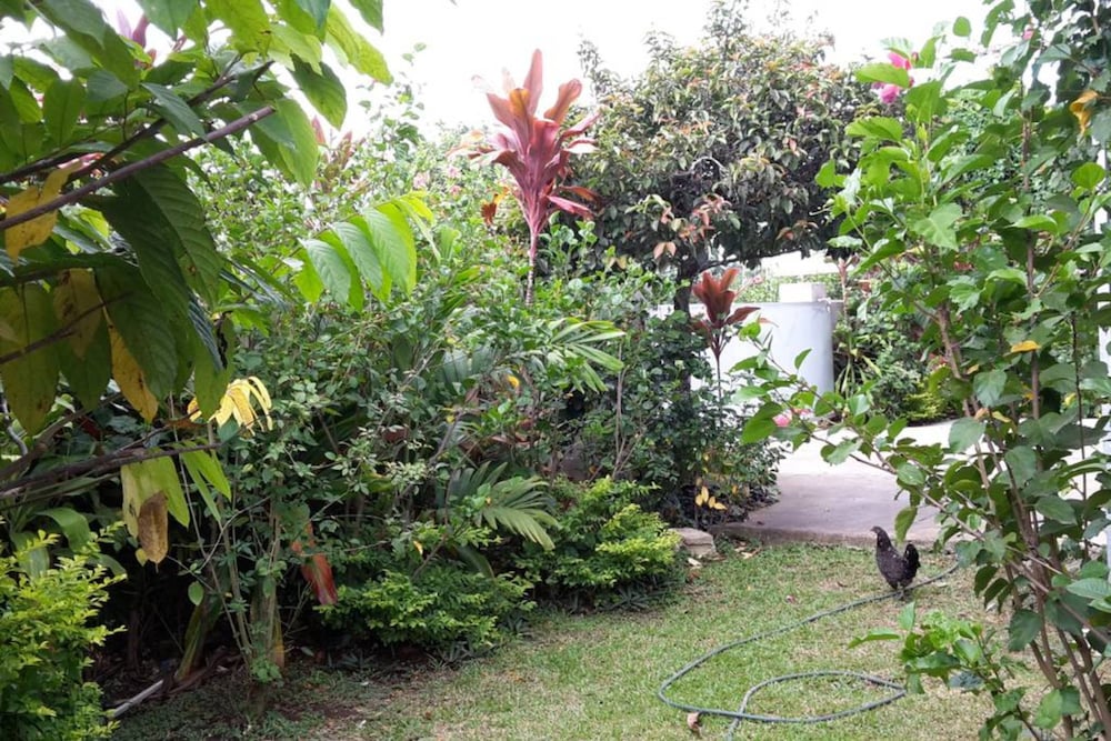 Фото Dayspring Lodge