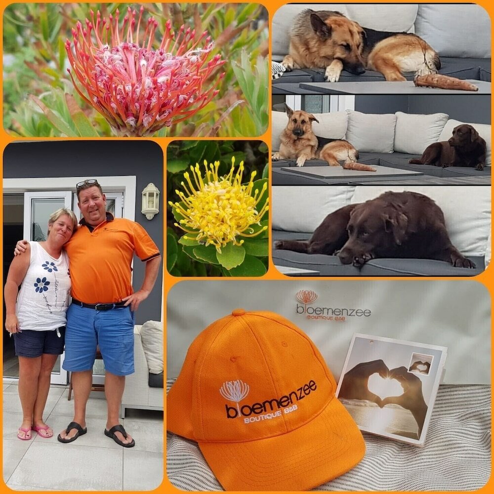 Фото Bloemenzee Boutique B & B