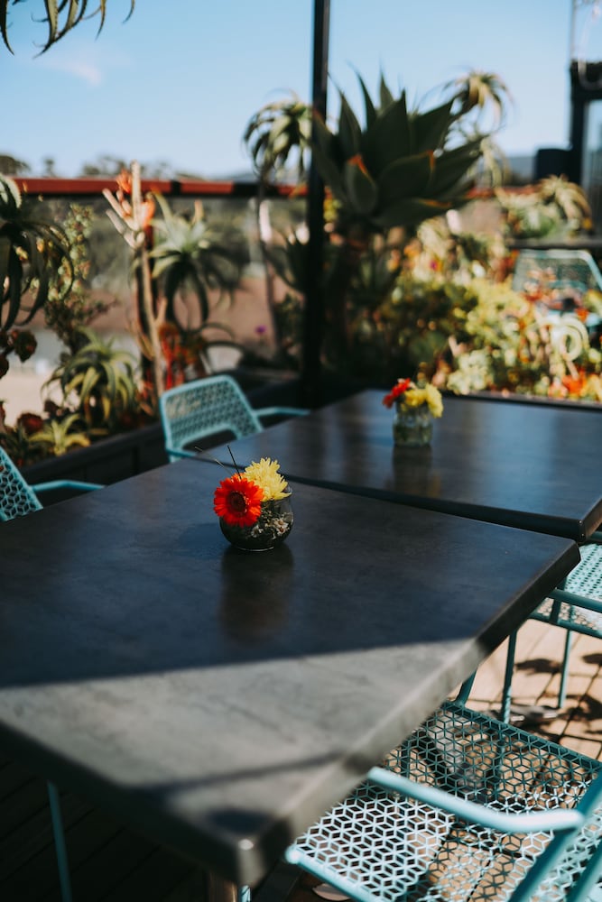 Фото Hotel 1110 - Adults Only