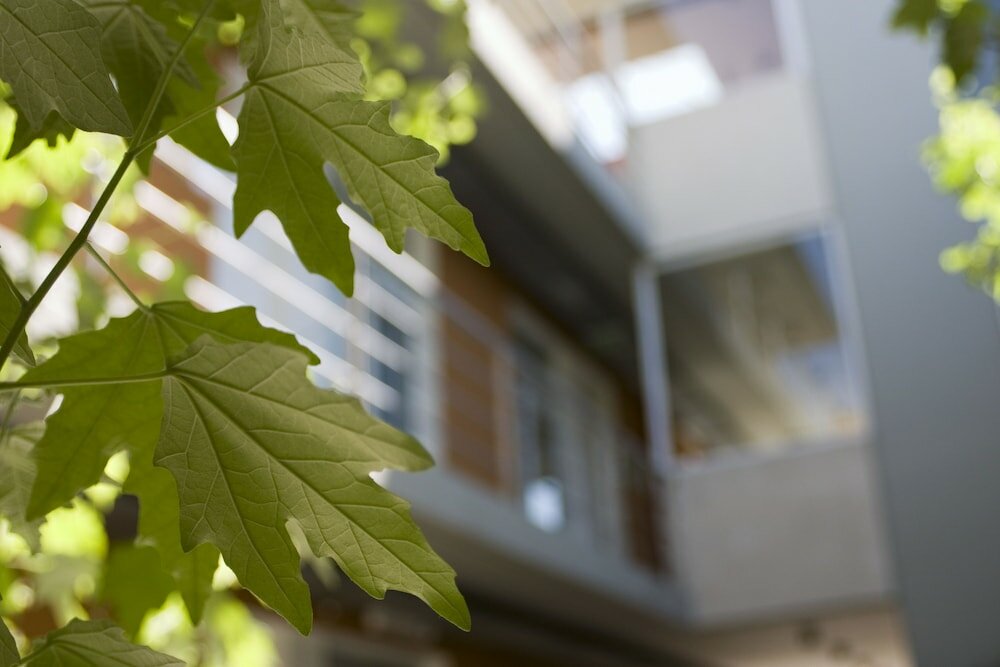 Фото Bromelia Hotel Boutique