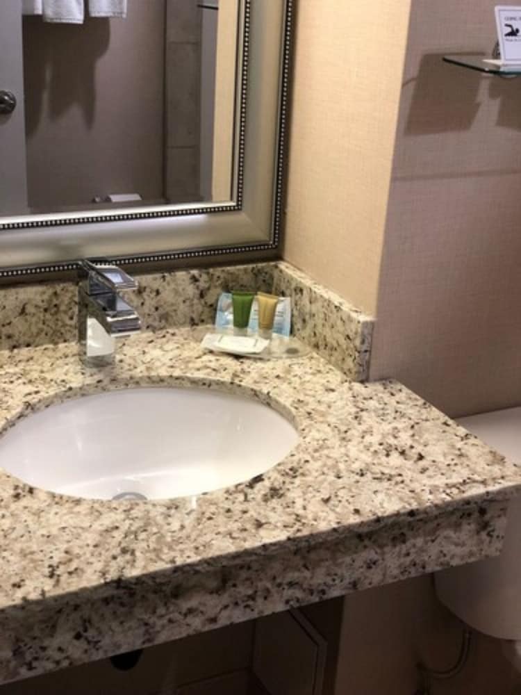 Фото Wyndham Garden Medicine Hat Conference Center