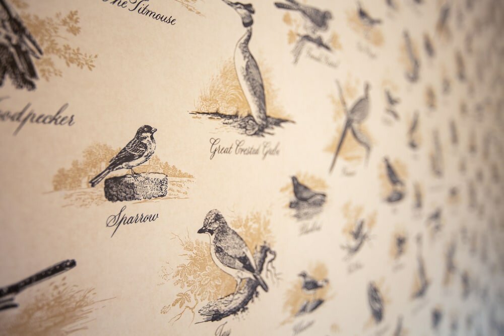 Фото The Albany Hotel St Andrews