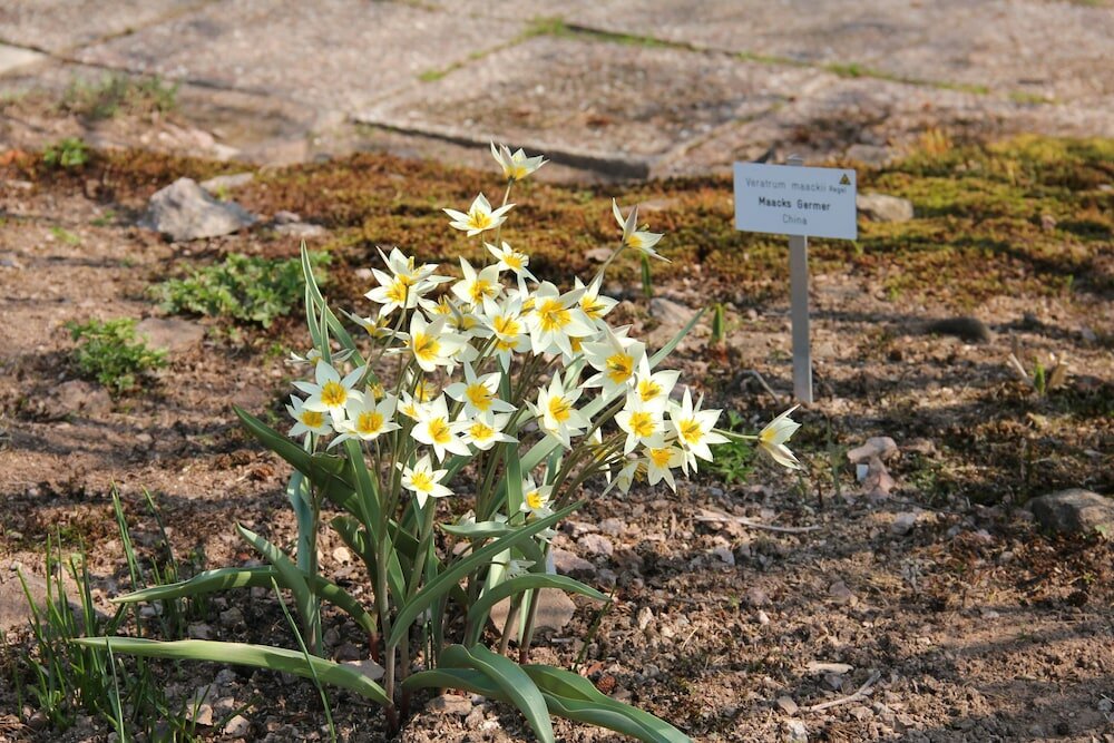 Фото Hotel Thüringenschanze