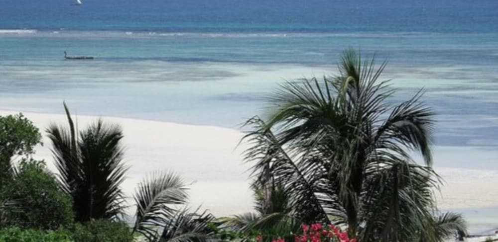 Фото Zan View Hotel