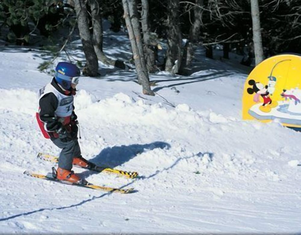 Фото Hotel Arinsal
