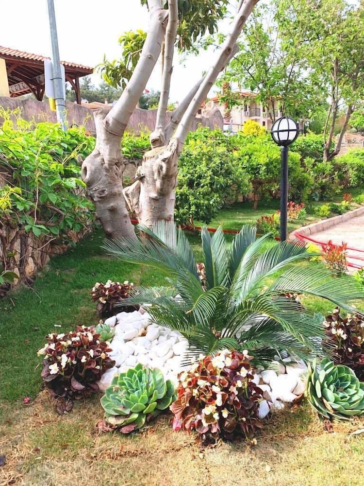 Фото Kevser Inn - Halal Hotel