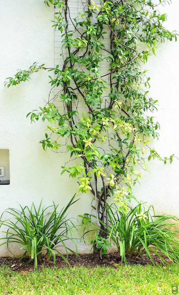 Фото Mondello Resort