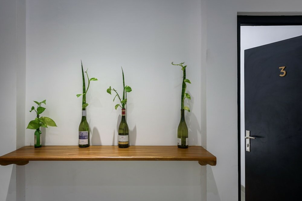 Фото Fern Colombo