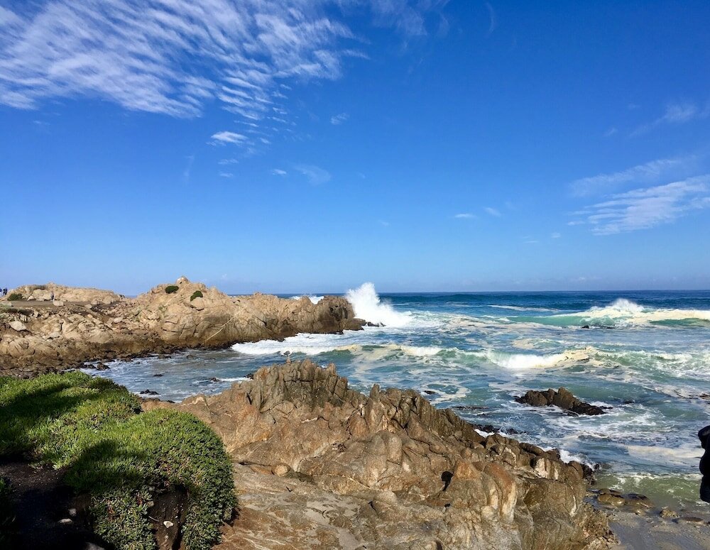 Фото Olympia Lodge