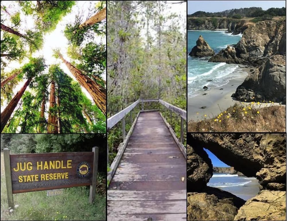 Фото The Mendocino Hotel and Garden Suites