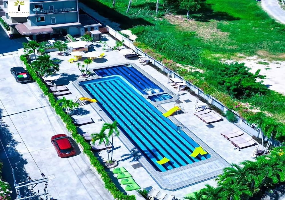 Фото Olive Tree Hotel