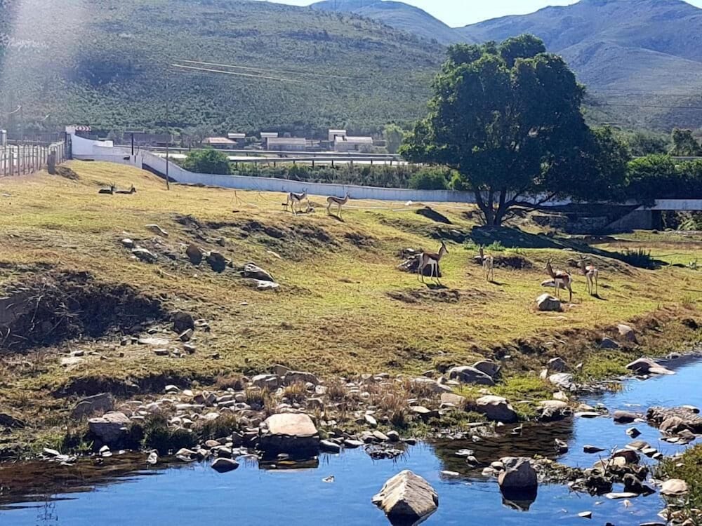 Фото Assegaaibosch Country Lodge