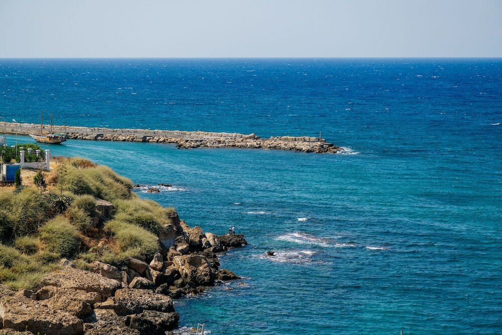 Фото Olivia Palm Hotel