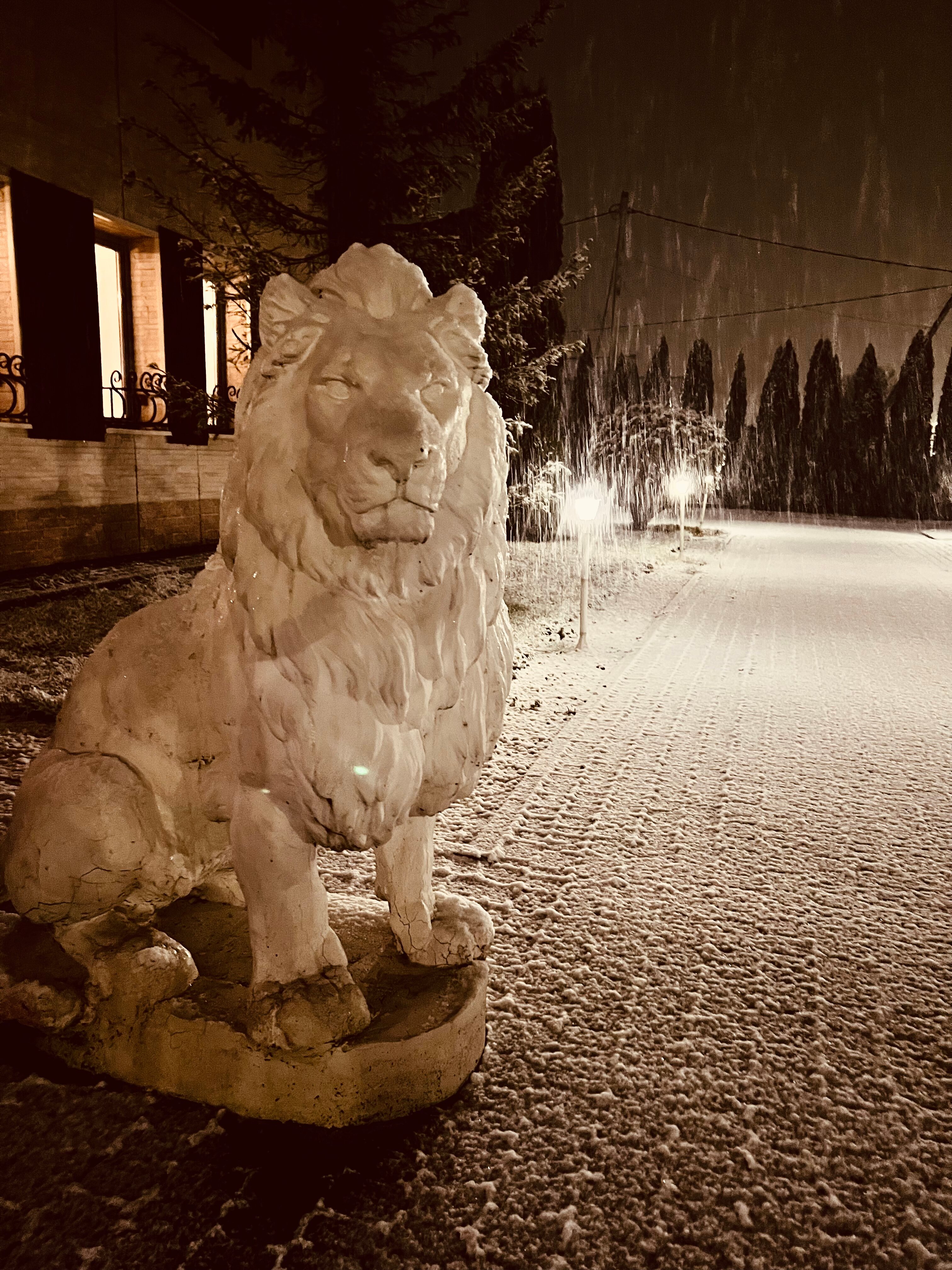 Фото Вилла Отель Прованс