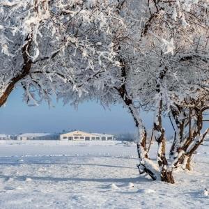 Фото Рыбзавод