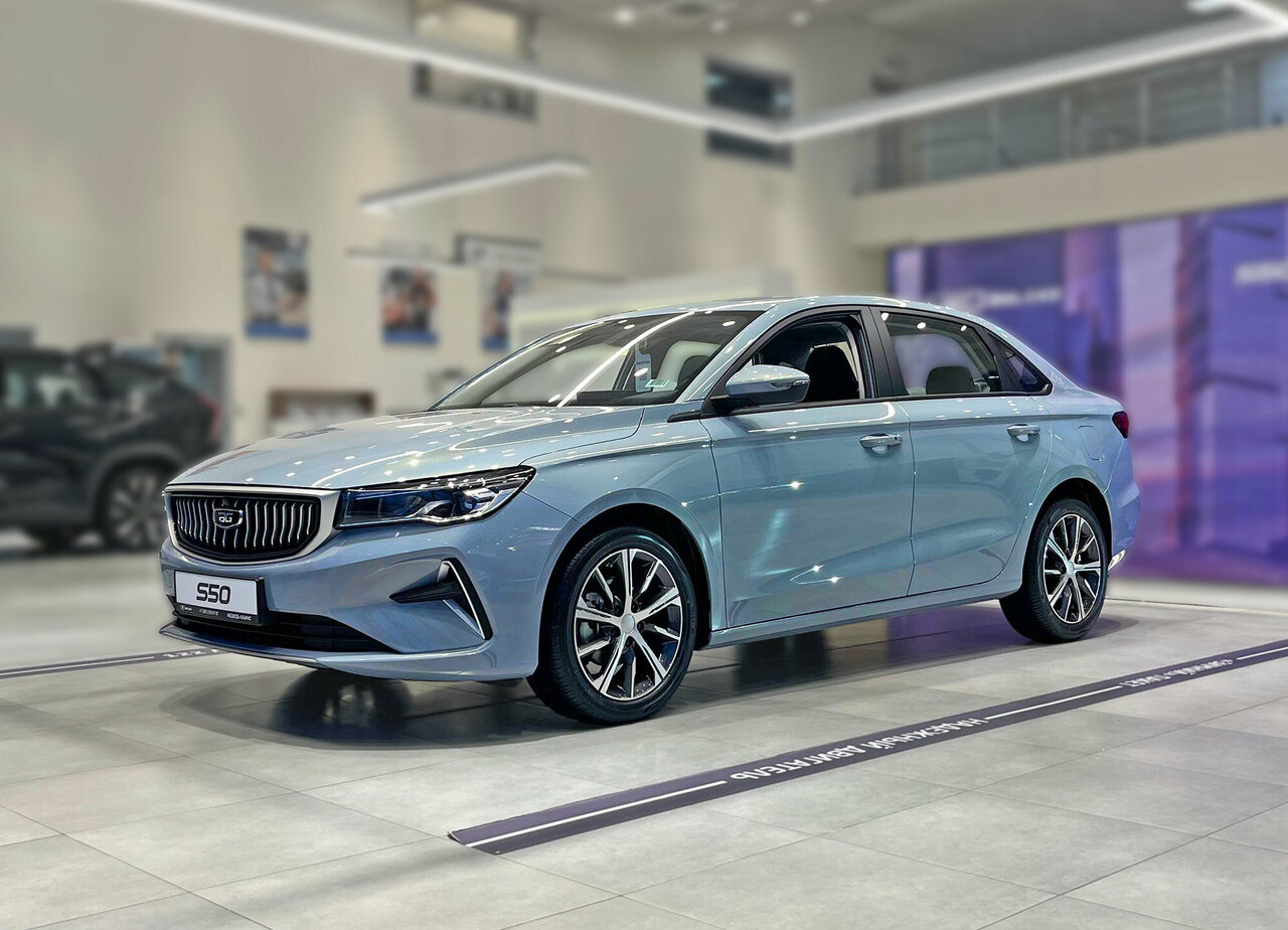 photo Belgee Медведь Альянс