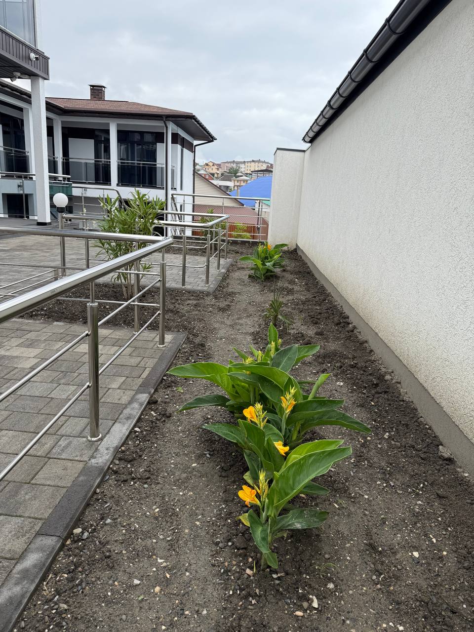 Фото Hадeждa