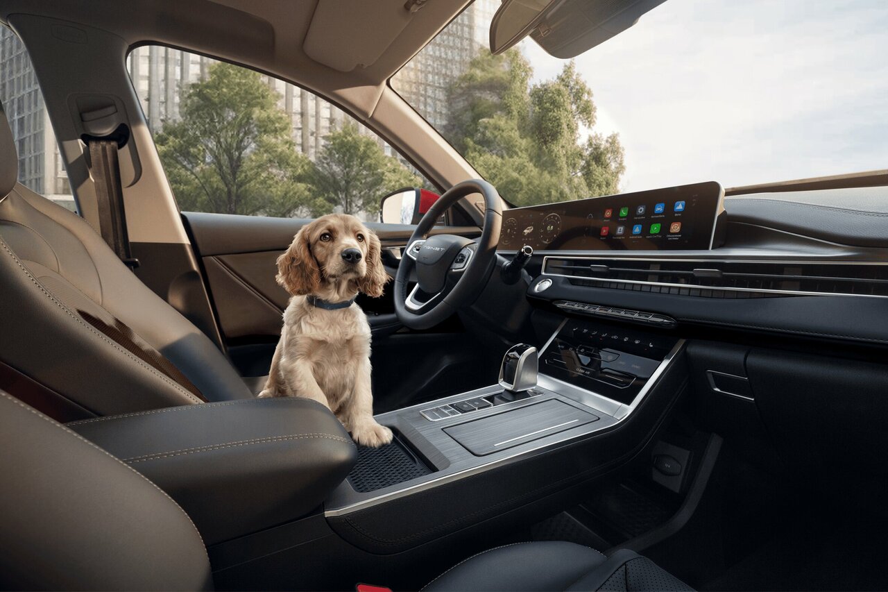 photo Тенет Вип Авто