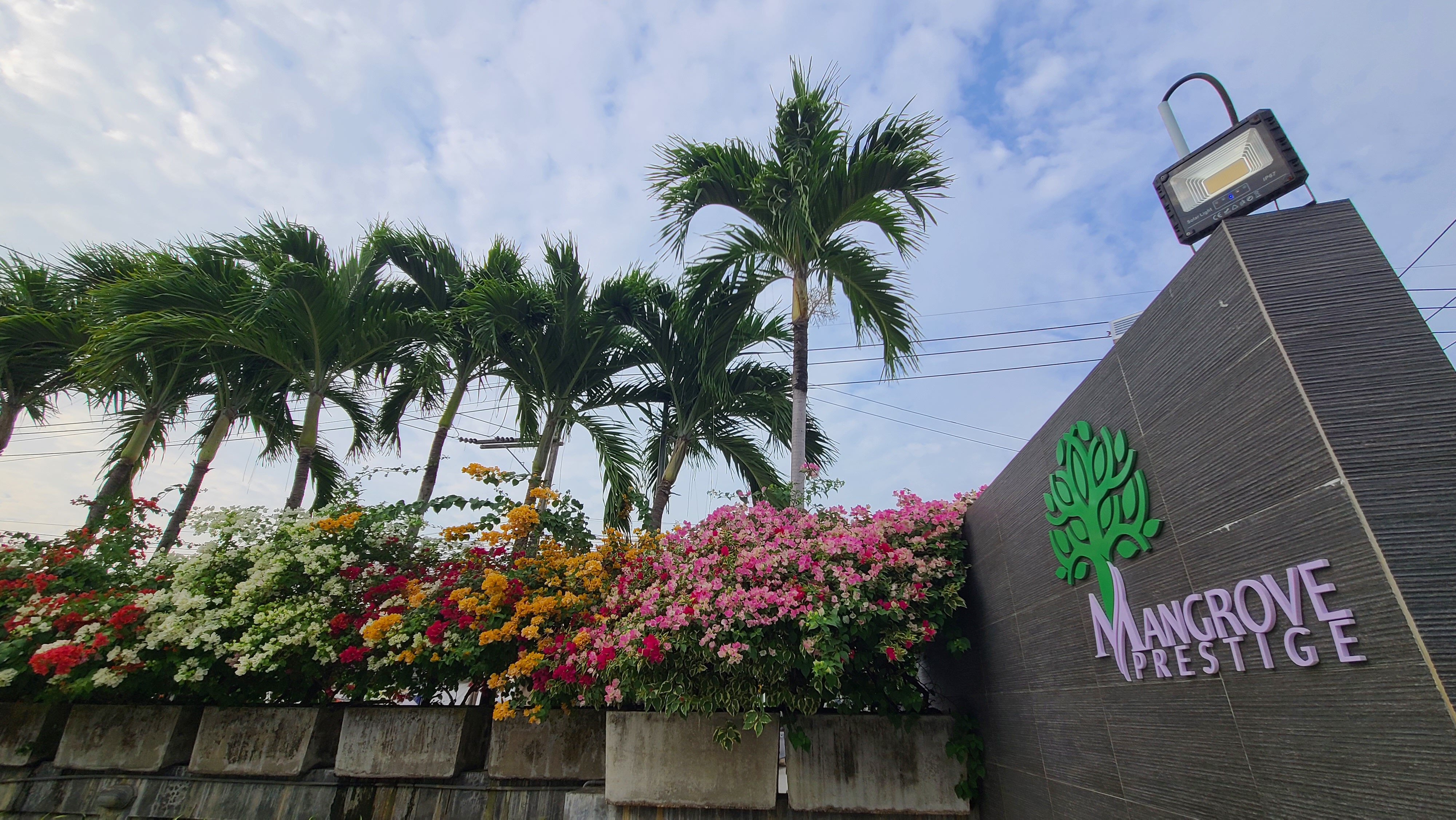 Фото Olive Tree Hotel