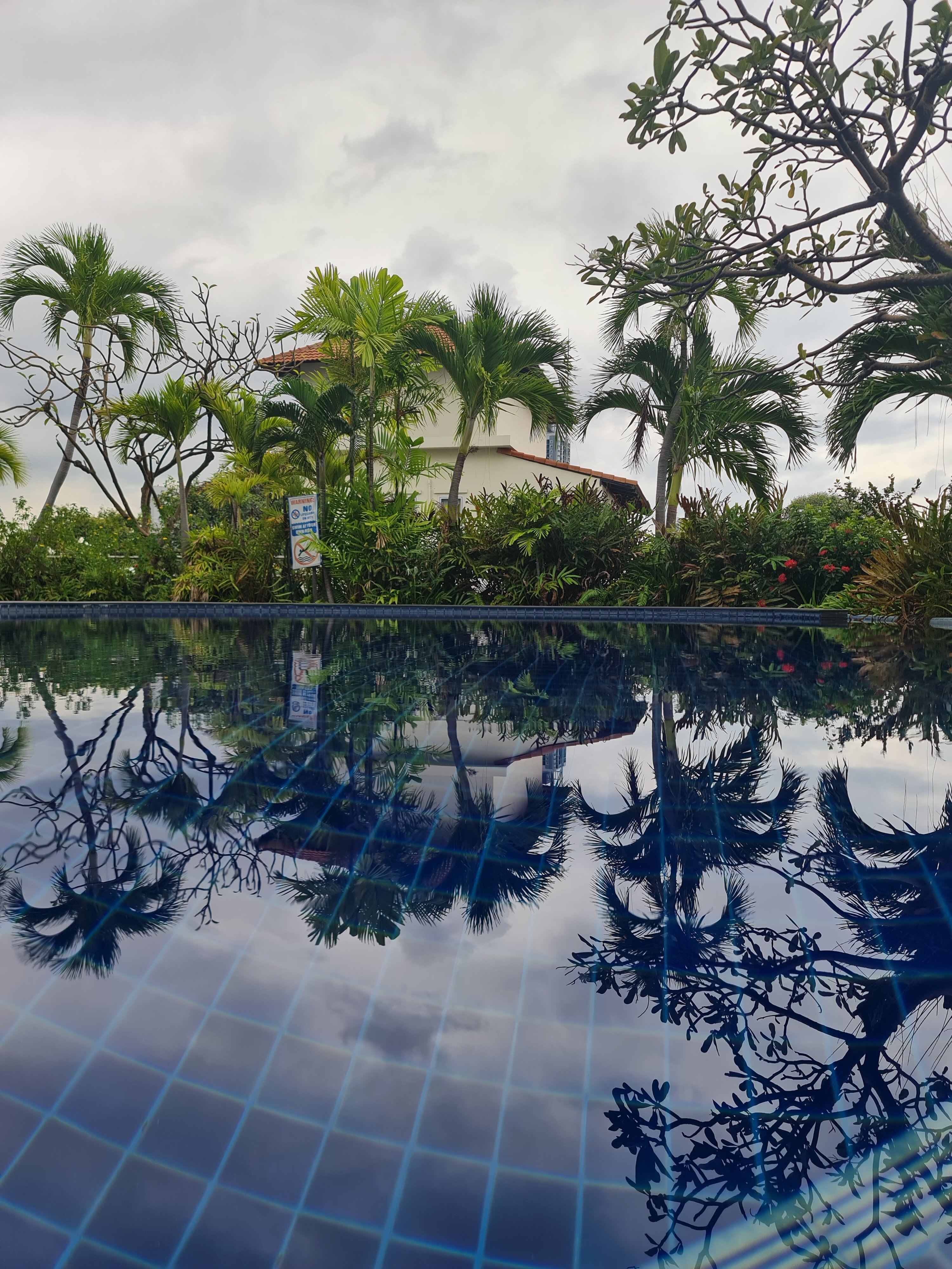 Фото Sunshine Vista