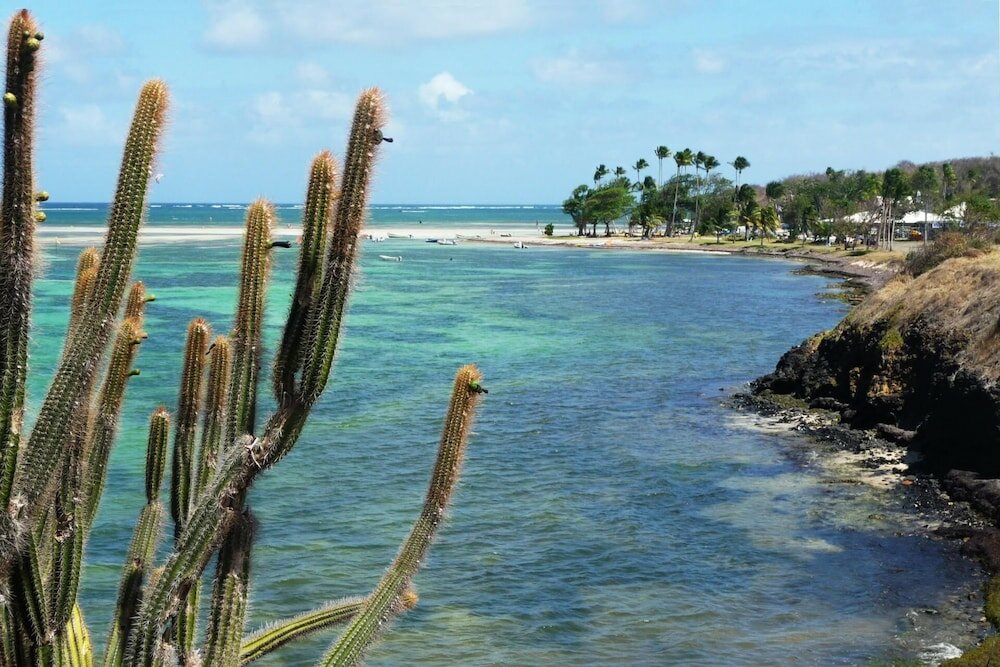 Фото Le Village de la Pointe