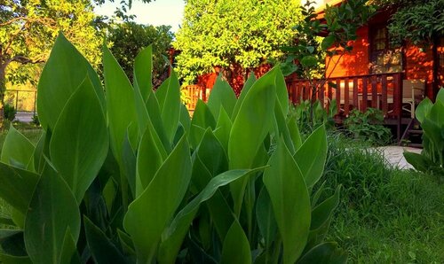 Гостиница № 1281 Boutique Hotel в Кумлудже