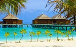 Palm Residence