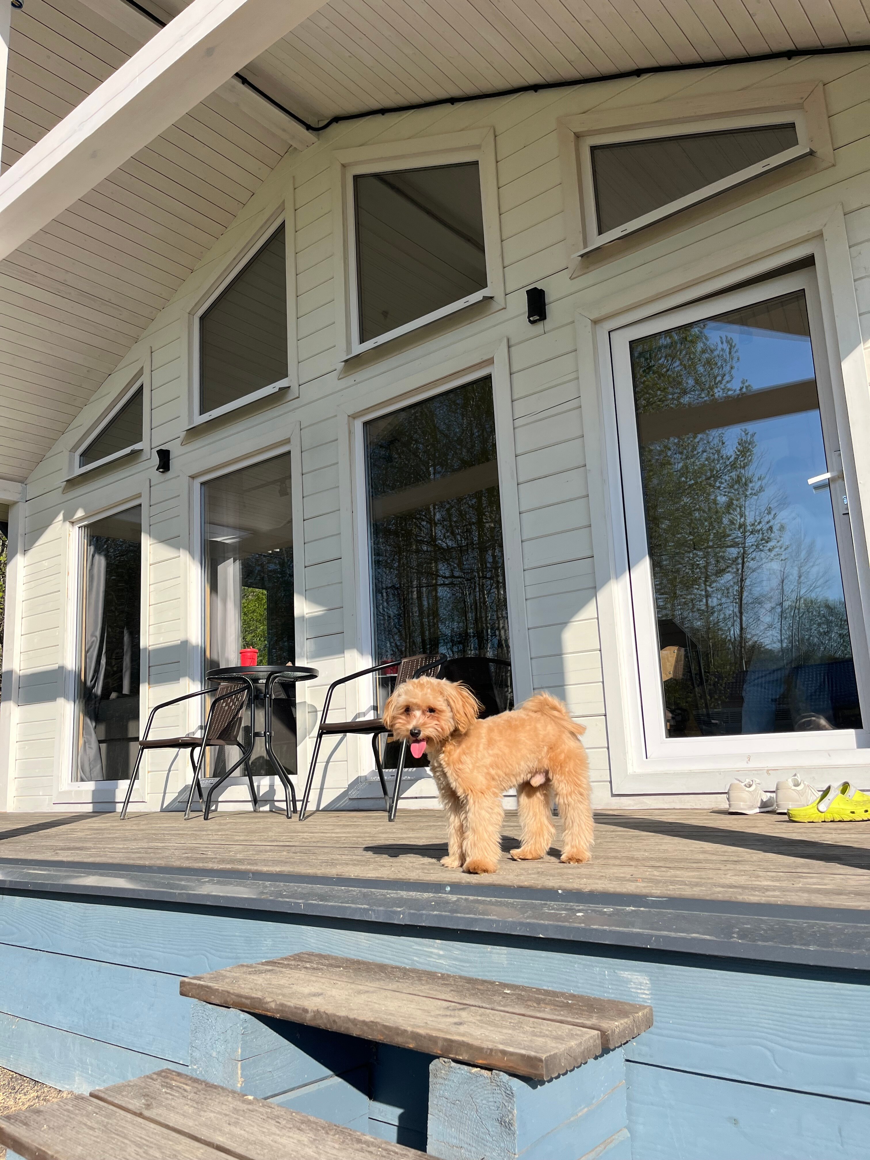 Фото Ленинградский Куршавель