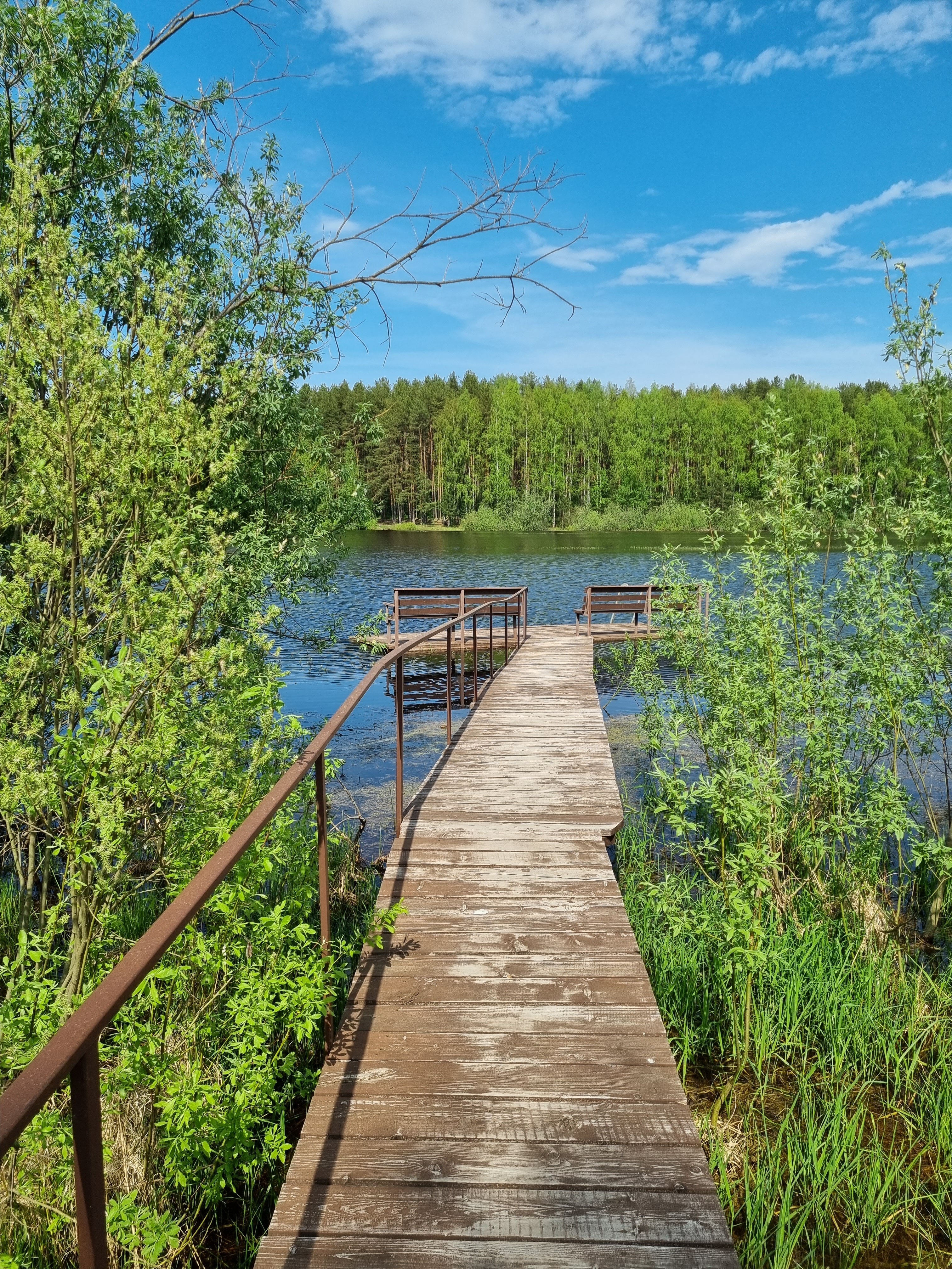 Фото На Чеснаве