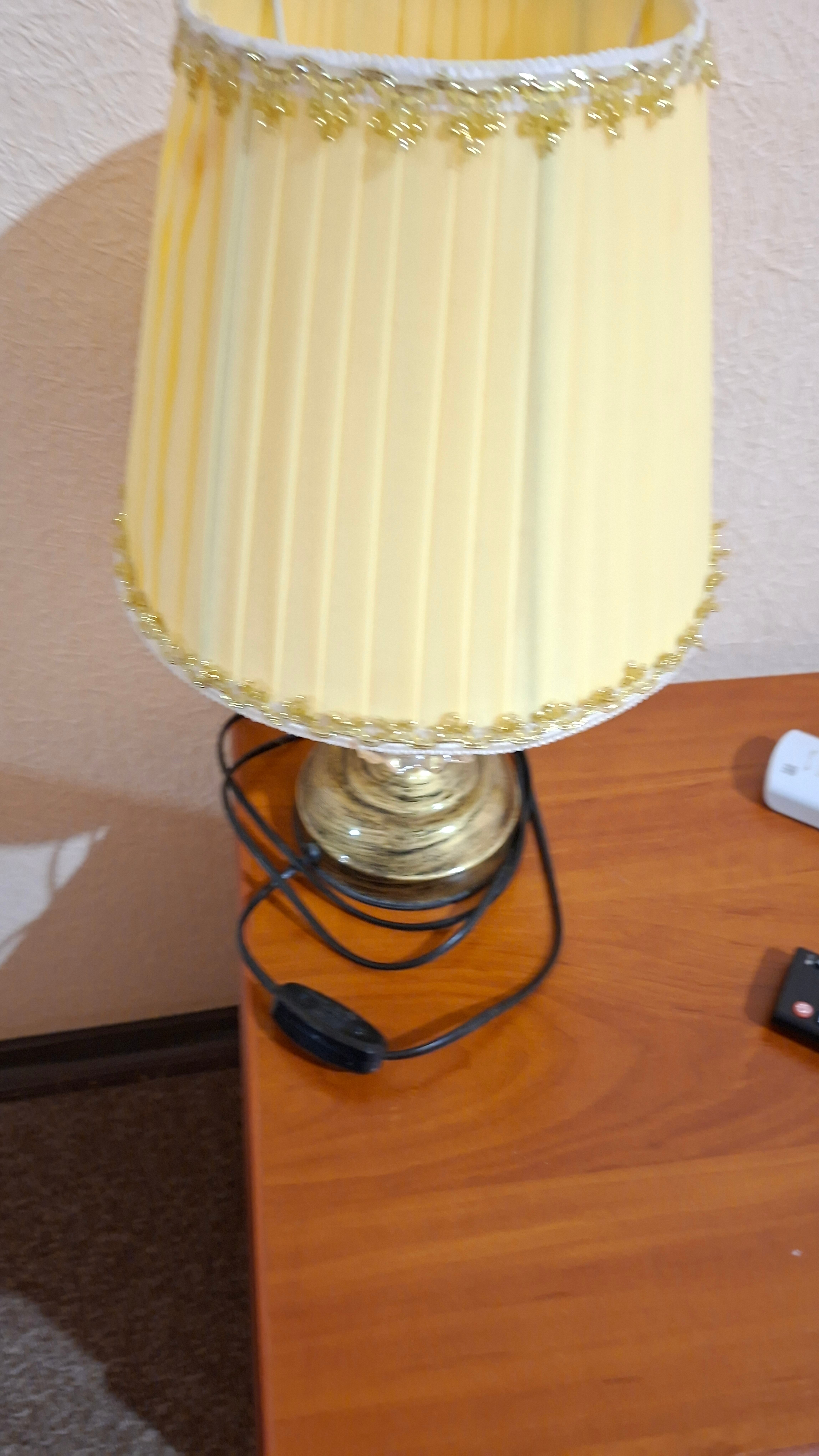 Фото Дельфин