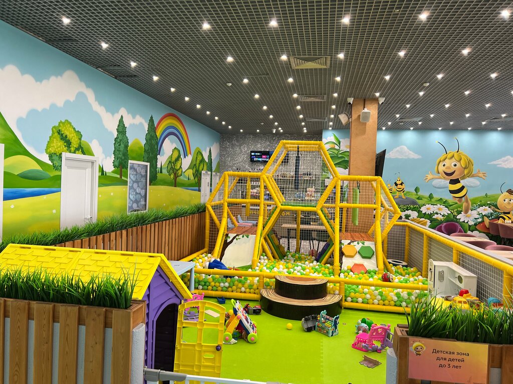 Play room Пчелкин Дом, Moscow and Moscow Oblast, photo